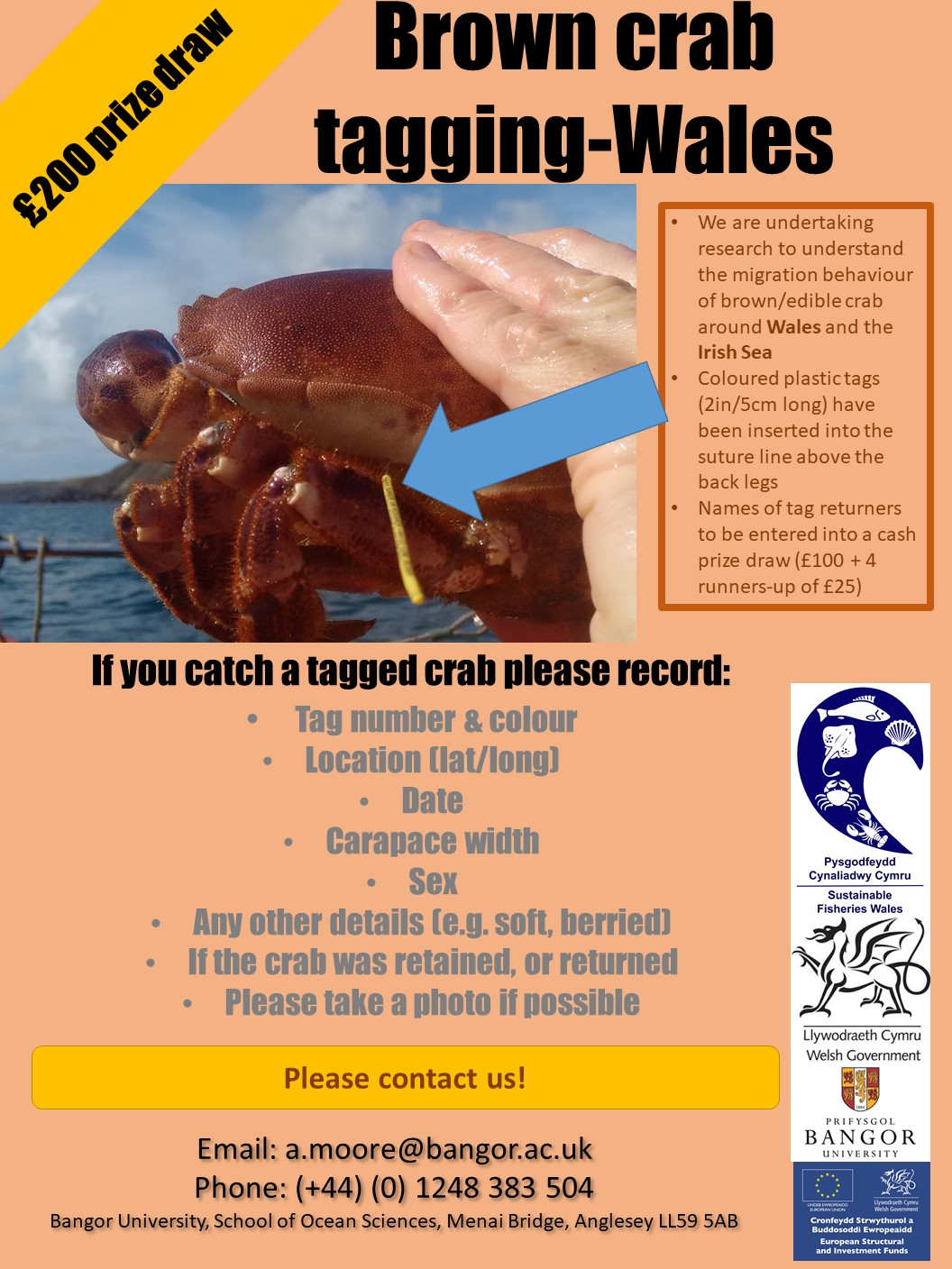 News and Updates Sustainable Fisheries Wales Bangor University